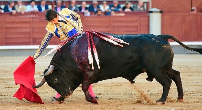 FAENÓN DE SEBASTIAN CASTELLA SIN ESPADA CON UN TORO DE VUELTA AL RUEDO