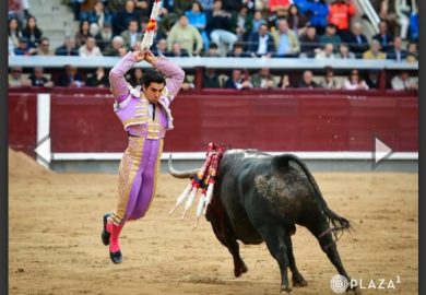 LA BUEYADA DEL PARTIDO DE RESINA SE CARGO EL QUINTO FESTEJO DE SAN ISIDRO