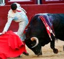 DETALLES Y OFICIO DE LOS TOREROS EN LA NOVENA DE SAN ISIDRO EN LA QUE F. ADRIAN FIRMO LO MEJOR DE LA TARDE