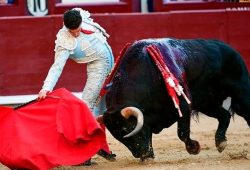 DETALLES Y OFICIO DE LOS TOREROS EN LA NOVENA DE SAN ISIDRO EN LA QUE F. ADRIAN FIRMO LO MEJOR DE LA TARDE