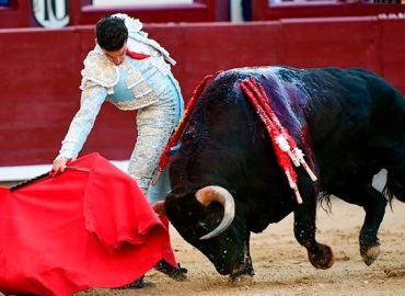 DETALLES Y OFICIO DE LOS TOREROS EN LA NOVENA DE SAN ISIDRO EN LA QUE F. ADRIAN FIRMO LO MEJOR DE LA TARDE