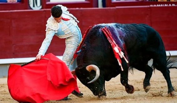 DETALLES Y OFICIO DE LOS TOREROS EN LA NOVENA DE SAN ISIDRO EN LA QUE F. ADRIAN FIRMO LO MEJOR DE LA TARDE