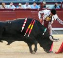 DETALLES DE JAROCHO EN SU LOTE EN LA DECIMO SEPTIMA CORRIDA DE ABONO MADRILEÑO