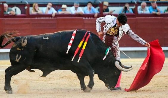 DETALLES DE JAROCHO EN SU LOTE EN LA DECIMO SEPTIMA CORRIDA DE ABONO MADRILEÑO