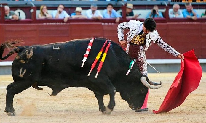 DETALLES DE JAROCHO EN SU LOTE EN LA DECIMO SEPTIMA CORRIDA DE ABONO MADRILEÑO