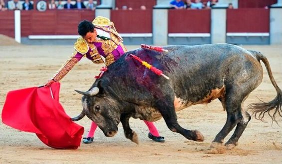 DURO ENCIERRO DE SALTILLO CON REMIENDO DE COUTO DE FORNILHOS