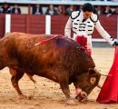 INICIO DE SAN ISIDRO CON PUERTA GRANDE PARA ALEJANDRO TALAVANTE