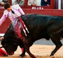 LAS MONTERAS POR ENCIMA DE LAS DIVISAS