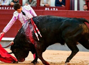 LAS MONTERAS POR ENCIMA DE LAS DIVISAS
