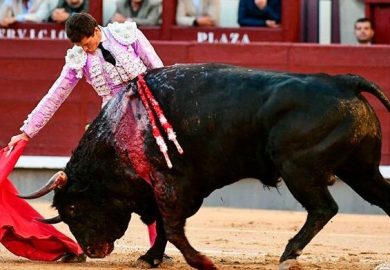 LAS MONTERAS POR ENCIMA DE LAS DIVISAS
