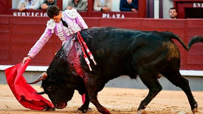 LAS MONTERAS POR ENCIMA DE LAS DIVISAS