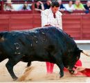 EL DECIMO “NO HAY BILLETES” SE COLGÓ EN LA DECIMO QUINTA CORRIDA DE ABONO EN MADRID