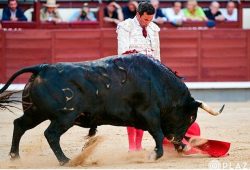 EL DECIMO “NO HAY BILLETES” SE COLGÓ EN LA DECIMO QUINTA CORRIDA DE ABONO EN MADRID