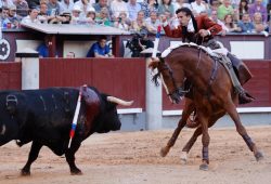 ALTO NIVEL DE TOREO A LA JINETA EN LAS VENTAS