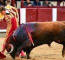 UN GRAN TORO DE EL CONDE DE MAYALDE LE PERMITE A ROMAN CORTAR UNA OREJA