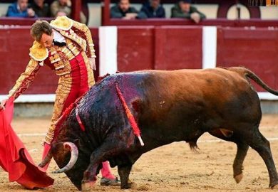 UN GRAN TORO DE EL CONDE DE MAYALDE LE PERMITE A ROMAN CORTAR UNA OREJA