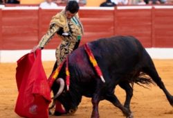 EN MARBELLA SE REPARTEN OCHO OREJAS MORANTE, TALAVANTE Y DE MIRANDA