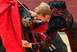 LA EMOCION Y EL DRAMA LLEGÓ CON CLEMENTE EN EL QUINTO DE LA TARDE…