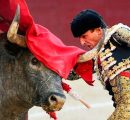 MERITORIA TARDE DE LOS TOREROS EN LAS VENTAS QUE EXHIBIERON VALOR, PUNDONOR Y ENTREGA
