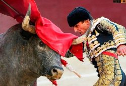 MERITORIA TARDE DE LOS TOREROS EN LAS VENTAS QUE EXHIBIERON VALOR, PUNDONOR Y ENTREGA