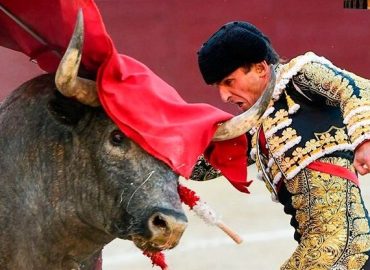 MERITORIA TARDE DE LOS TOREROS EN LAS VENTAS QUE EXHIBIERON VALOR, PUNDONOR Y ENTREGA