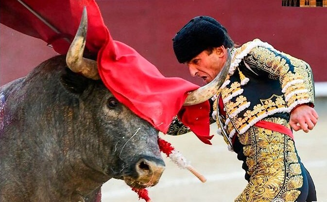 MERITORIA TARDE DE LOS TOREROS EN LAS VENTAS QUE EXHIBIERON VALOR, PUNDONOR Y ENTREGA