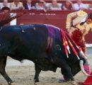 JOSE GARRIDO CORTA LA ÚNICA OREJA DE LA JORNADA. LOS EMERGENTES ISMAEL MARTIN Y SAMUEL NAVALÓN PIDEN PISTA
