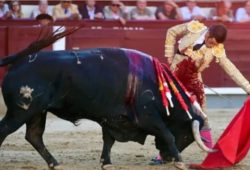 JOSE GARRIDO CORTA LA ÚNICA OREJA DE LA JORNADA. LOS EMERGENTES ISMAEL MARTIN Y SAMUEL NAVALÓN PIDEN PISTA