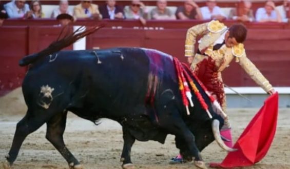 JOSE GARRIDO CORTA LA ÚNICA OREJA DE LA JORNADA. LOS EMERGENTES ISMAEL MARTIN Y SAMUEL NAVALÓN PIDEN PISTA
