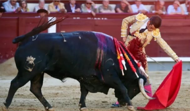 JOSE GARRIDO CORTA LA ÚNICA OREJA DE LA JORNADA. LOS EMERGENTES ISMAEL MARTIN Y SAMUEL NAVALÓN PIDEN PISTA