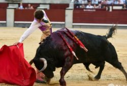 TARDE ÉPICA DE VICTOR HERNANDEZ CON DOS PALIZONES