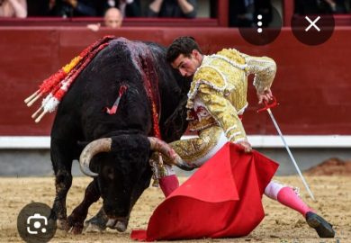 ENTRE TRADICIÓN Y AFICIÓN: LA FERIA DEL SEÑOR DE LOS MILAGROS SE PREPARA PARA UN GRAN FIN DE SEMANA TAURINO EN ACHO.